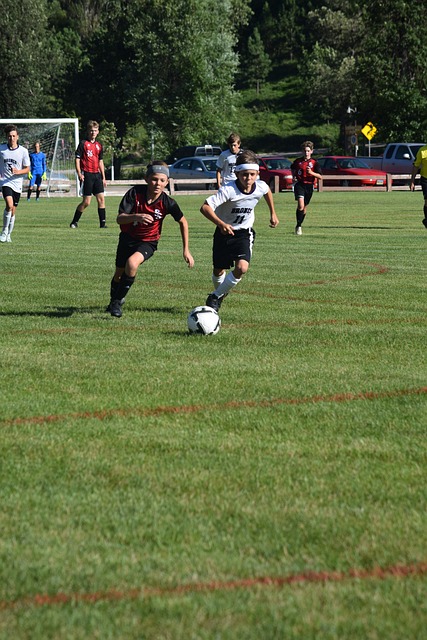 聲名鵲起 聲名鵲起