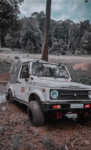 员的状态 员的状态