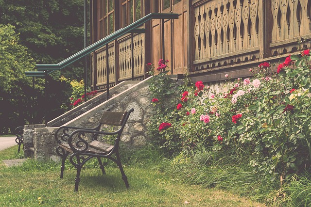 整场比赛 整场比赛