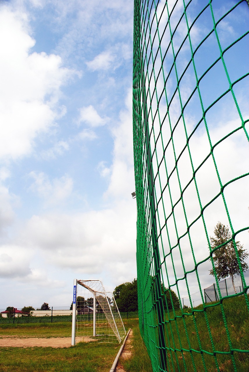 據多方媒體 據多方媒體