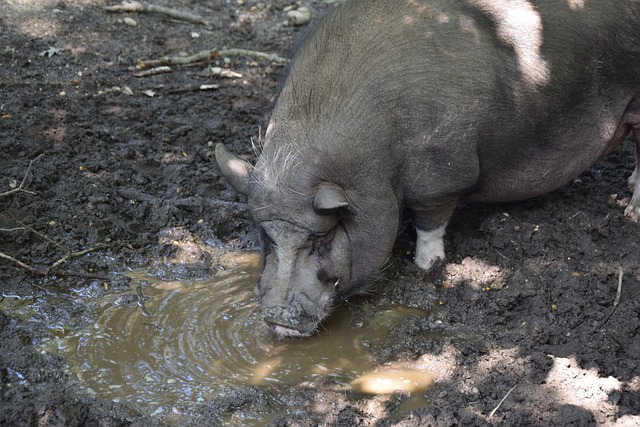 踏上了北去 踏上了北去